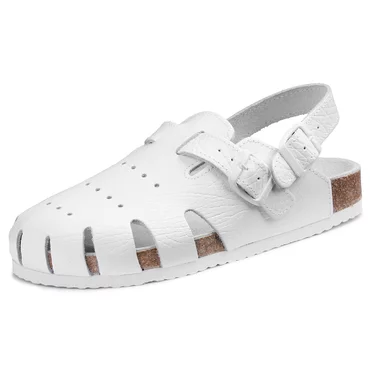 D090520 BIELA
