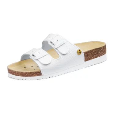 DP080053 BIELA